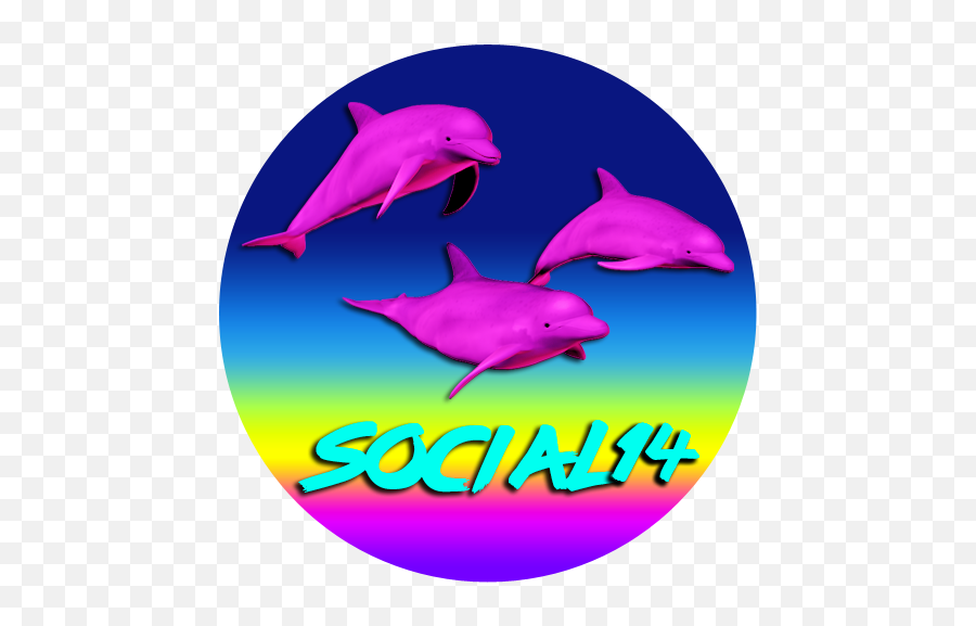 Windows 98 Being Watched Vaporwave T - Shirt Social14 Common Bottlenose Dolphin Png,Windows 98 Logo