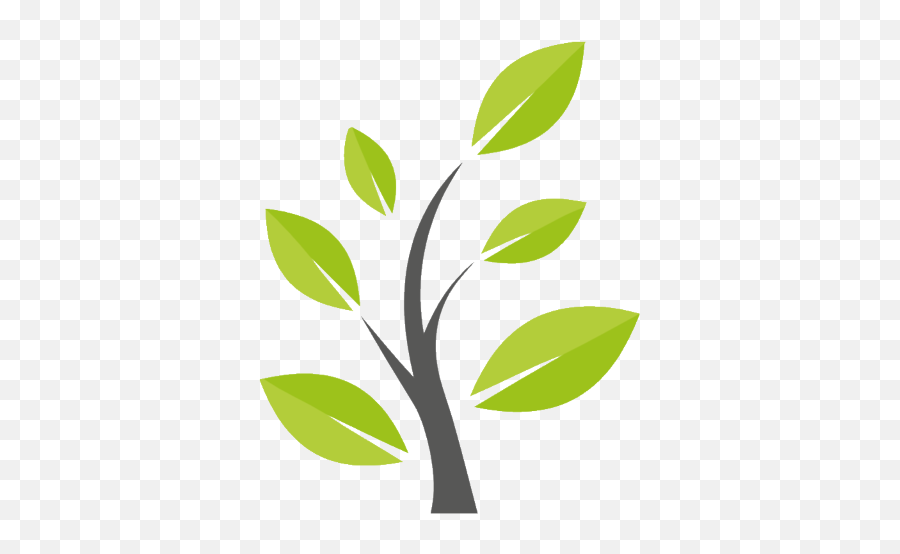 Pepper - Tree Png,Transparent Favicon