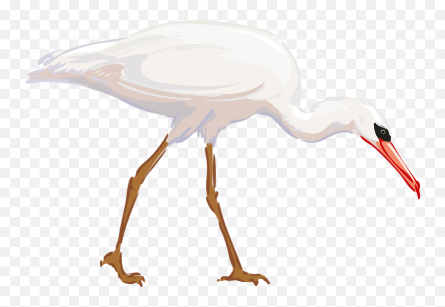 Clipart Animals Crane Transparent - Cattle Egret Clipart Png,Crane Bird Png