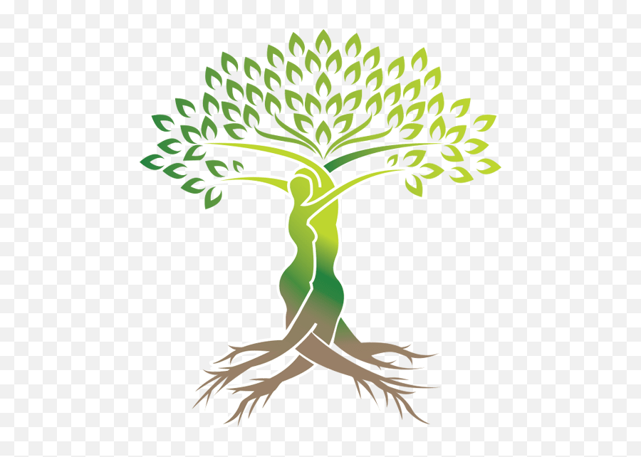 Download Tree Of Life Png - Tree Of Life Png,Tree Of Life Transparent