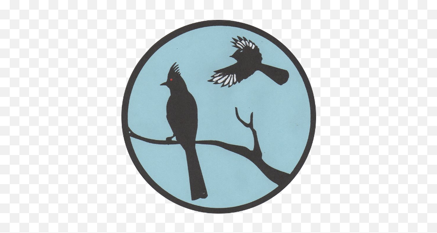Local La Woodpeckers - San Fernando Valley Audubon Society San Fernando Valley Audubon Society Png,Woodpecker Icon