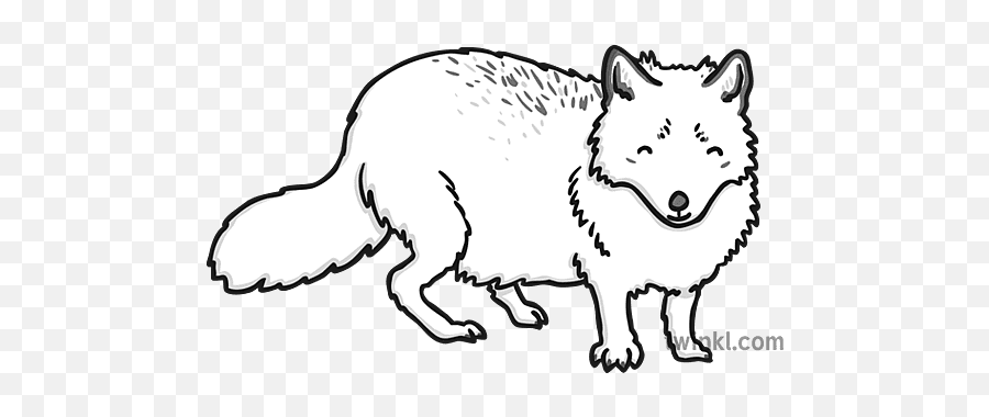 Arctic Fox Black And White 1 - Twinkl Fox Png,Arctic Fox Icon