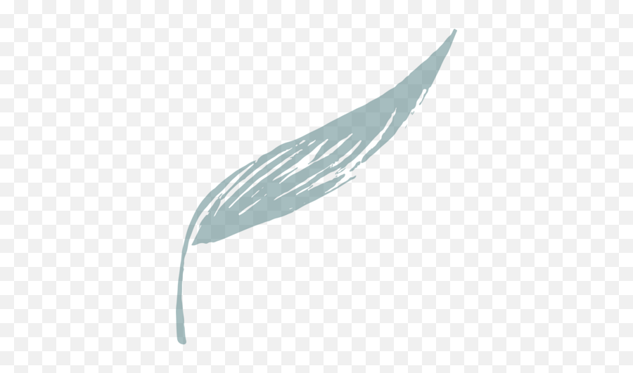 About - Sketch Png,Leaf Bird Icon