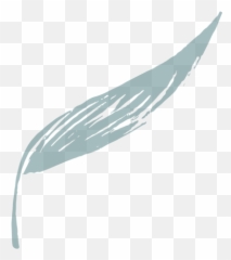 About - Sketch png