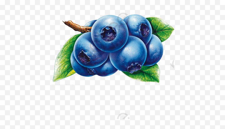 Cartoon Blueberries - Blueberries Clipart Png,Blueberries Png