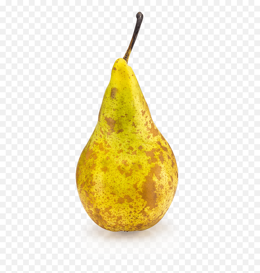 Pear Sorting Machine Aweta - Asian Pear Png,Pear Png
