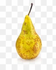 Pear Sorting Machine Aweta - Asian Pear Png,Pear Png