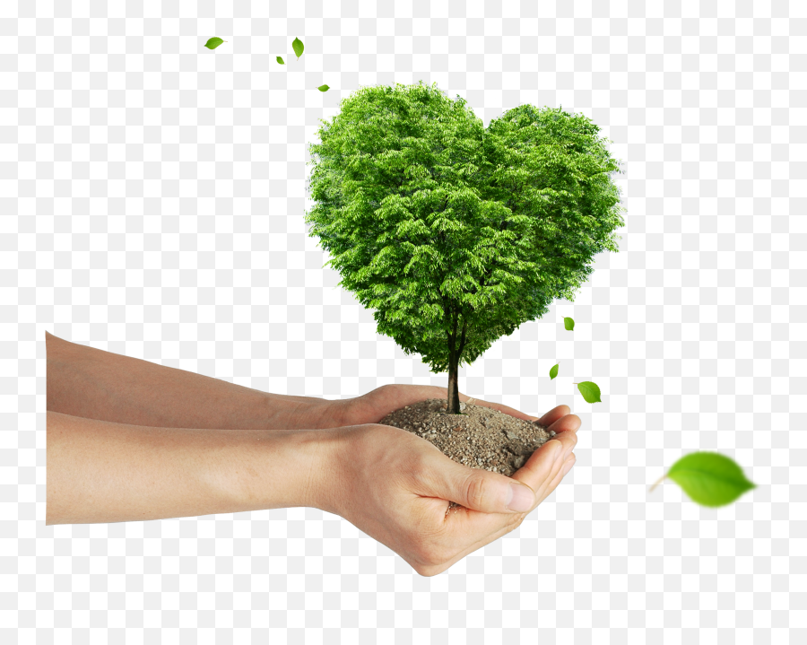 Soil Png - Tree Shaped As A Heart,Nature Transparent Background