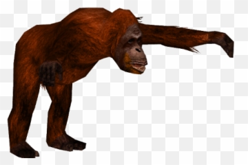 free transparent orangutan png images page 1 pngaaa com free transparent orangutan png images