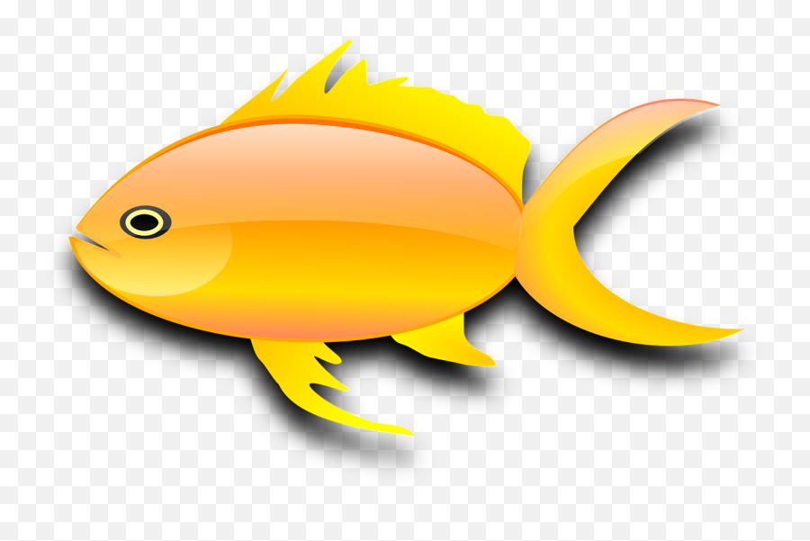 Fish Goldfish Digital - Free Vector Graphic On Pixabay Gold Fish Clip Art Png,Goldfish Transparent Background