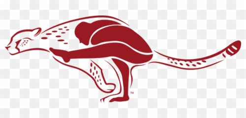 Red Cheetah Yoga - Red Cheetahs Png,Cheetah Logo