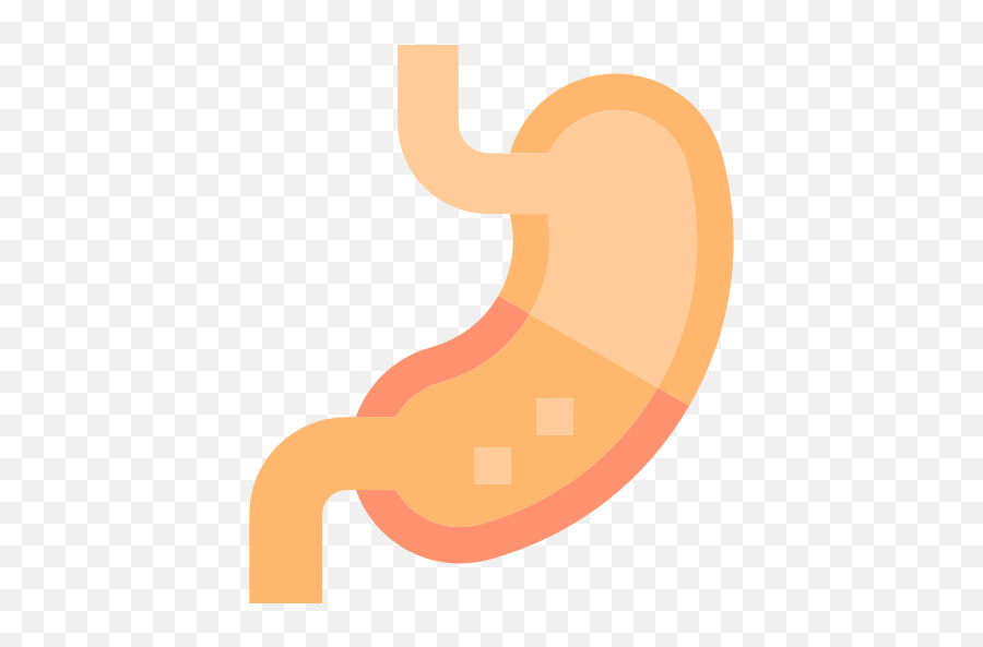 Stomach - Stomach Flat Icon Png,Stomach Png