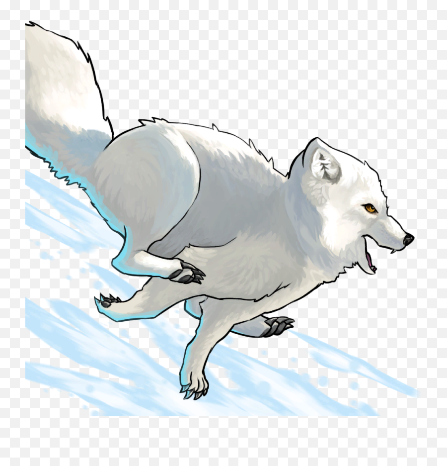 Arctic Fox - Snow Png,Arctic Fox Png