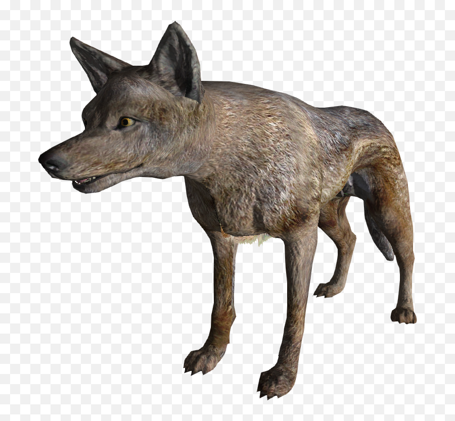 New - Fallout Coyote Png,Coyote Png