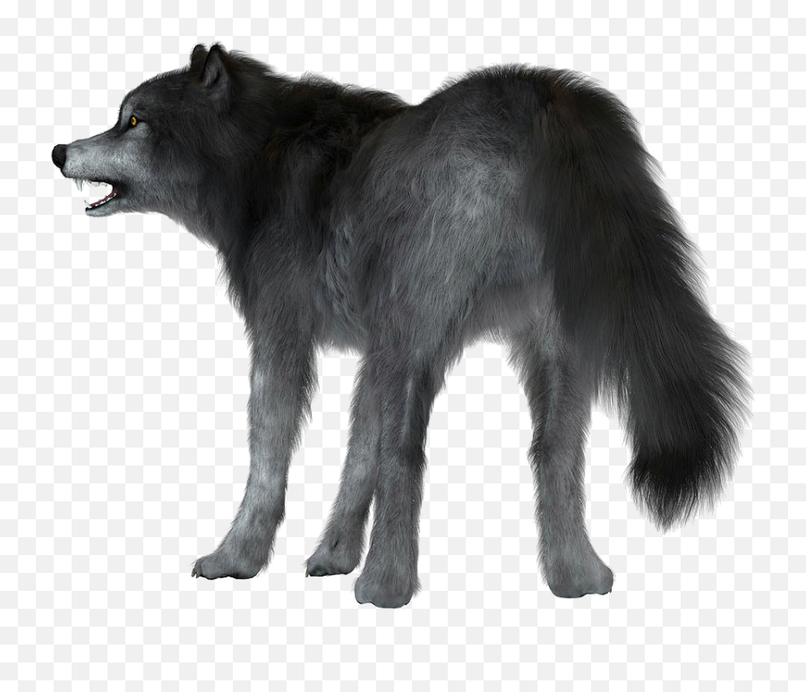 Download Dire Wolf White Background Png - Dire Dire Wolf White Background,Wolf Transparent Background