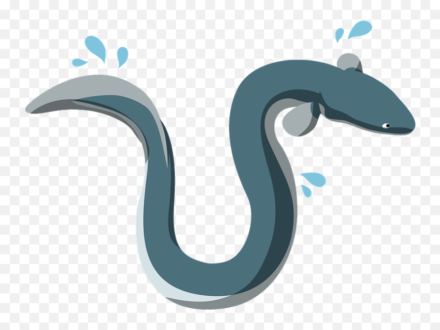 Unagi Eel Clipart - Automotive Decal Png,Eel Png