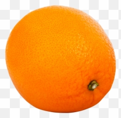 Orange Citrus Png Image - Blood Orange,Citrus Png