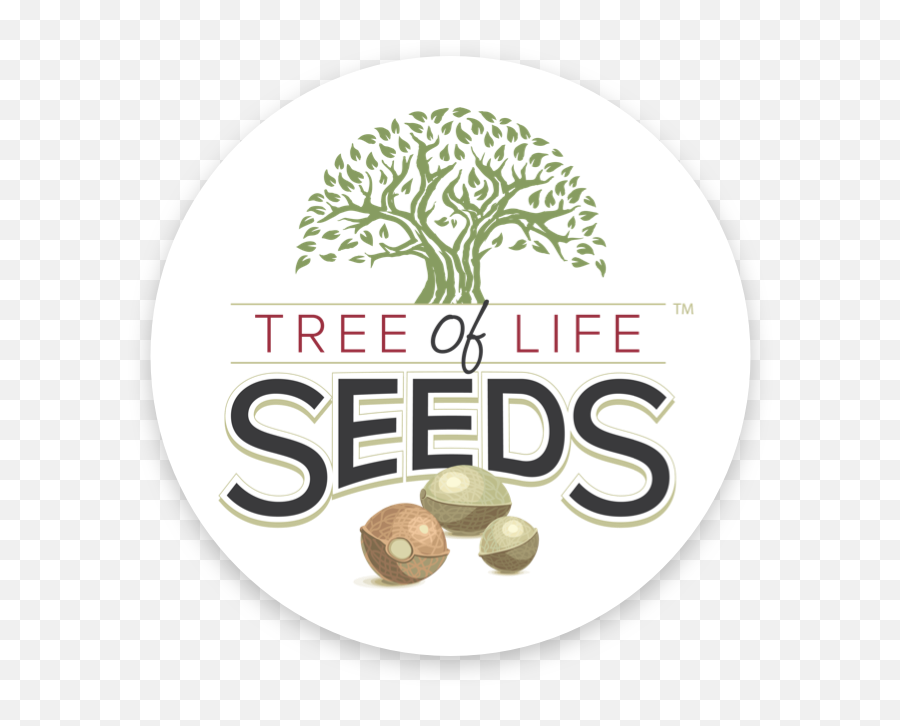 Tree Of Life Seeds Archives - Tree Of Life Seeds Png,Tree Of Life Logo