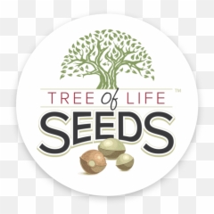 Tree Of Life Seeds Archives - png