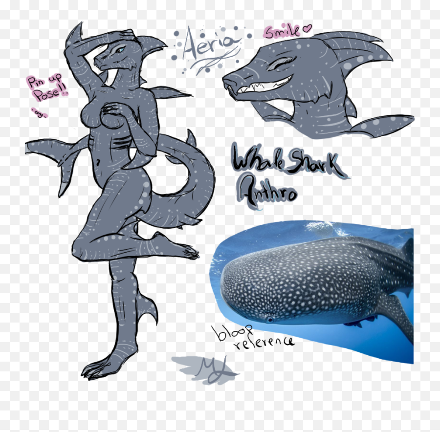 Clipcookdiarynet - Whale Shark Clipart Furry 4 912 X 876 Anthro Whale Shark Png,Whale Shark Png