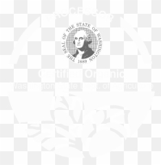 Certified Organic - Producer Certified Organic Png,Usda Organic Logo Png