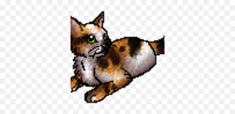 Patchkit Mv Warriors Wiki Fandom - Soft Png,Cat Lick Icon