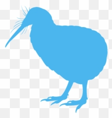 Kiwi Silhouette - Free Vector Silhouettes Creazilla Of png