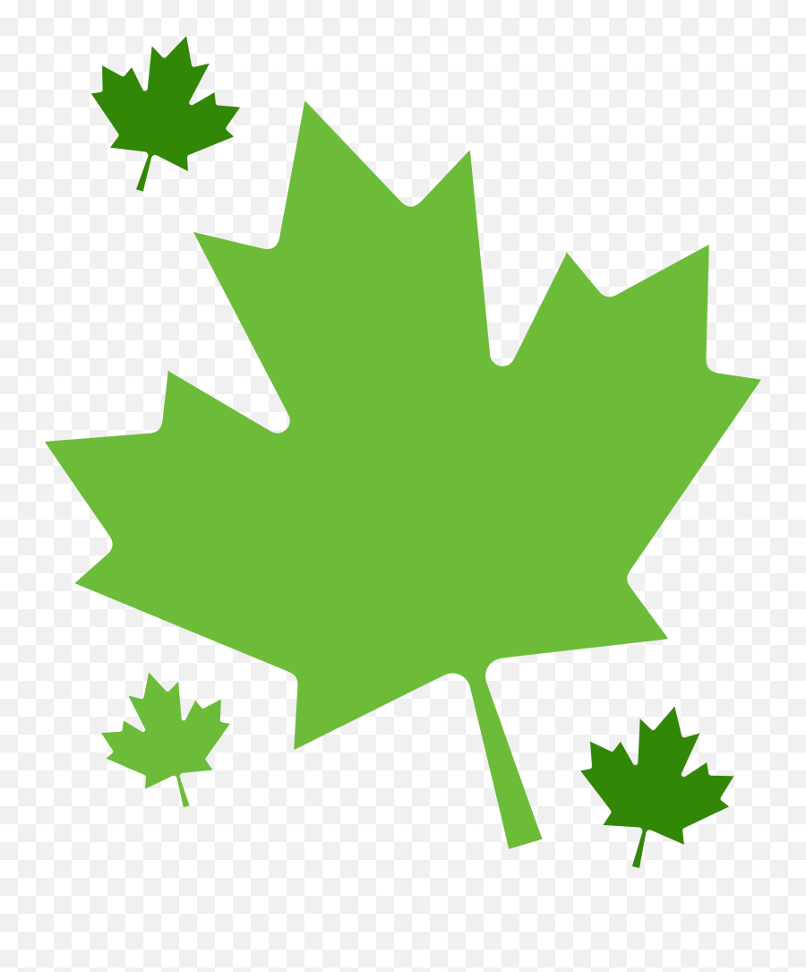 About - Vertigrow Happy Canada Day Svg Png,Canadian Maple Leaf Icon