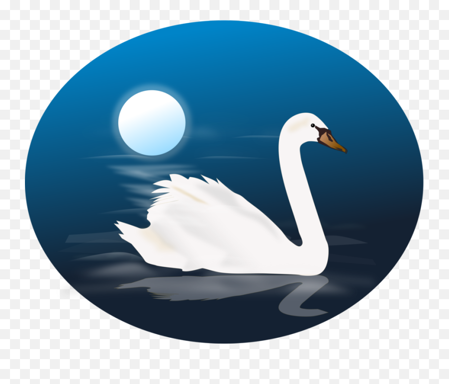 Download 2 Swans Png Images Clipart Free Freepngclipart - Animated Picture Of Swan,Swan Png