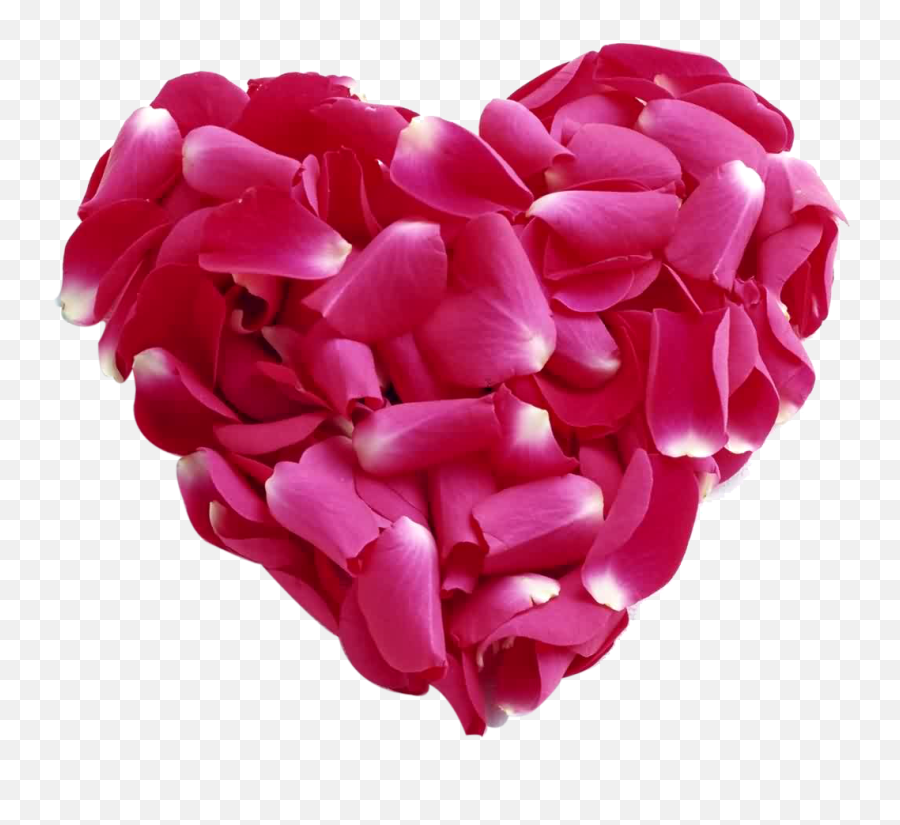Rose Petal Heart Png Images - Loe Heart,Pink Heart Transparent Background