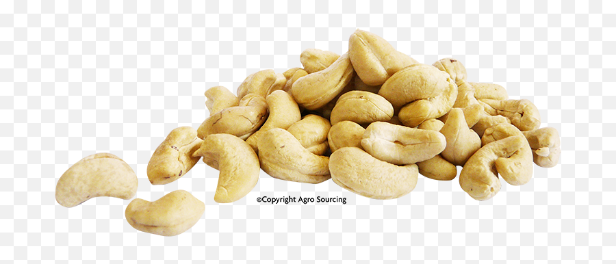 Cashew Nuts U2013 Agro Sourcing - Peanut Png,Cashew Png