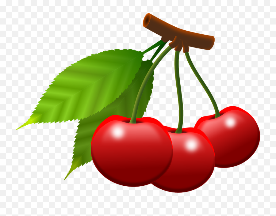 Cherries Fruits Berries - Free Image On Pixabay Essen Lustige Bilder Bewegliche Bilder Png,Cherries Png