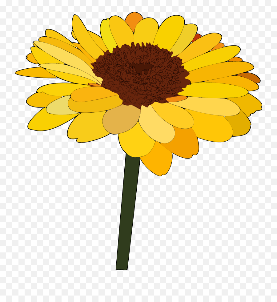 Sunflower Cartoon Drawing - Sunflower Cartoon Png,Sunflowers Transparent