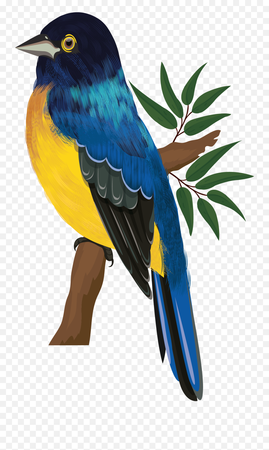 Free Png Bird - Konfest,Sparrow Png