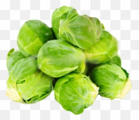 Cabbages Transparent Png Images - StickPNG Brussel Sprouts Transparent Background