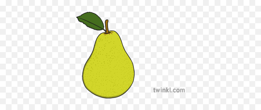 Pear Illustration - Twinkl Cempedak Png,Pear Png