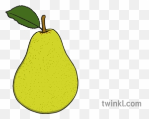Pear Illustration - Twinkl Cempedak Png,Pear Png