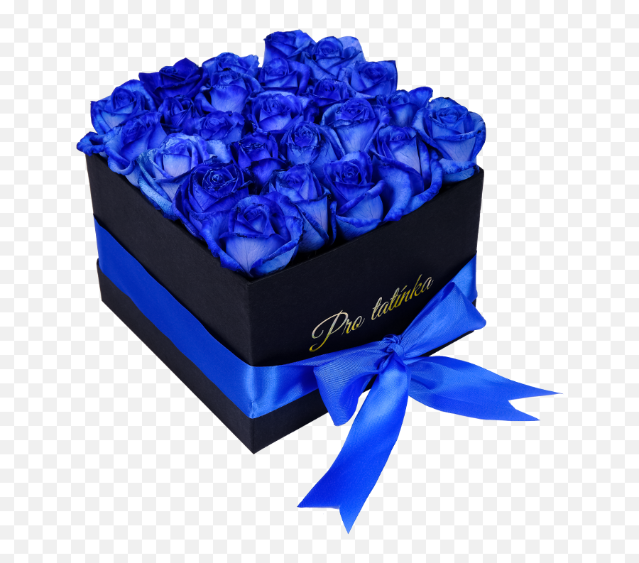 Black Blue Roses Png U0026 Free Rosespng Transparent - Blue Rose,Blue Rose Png
