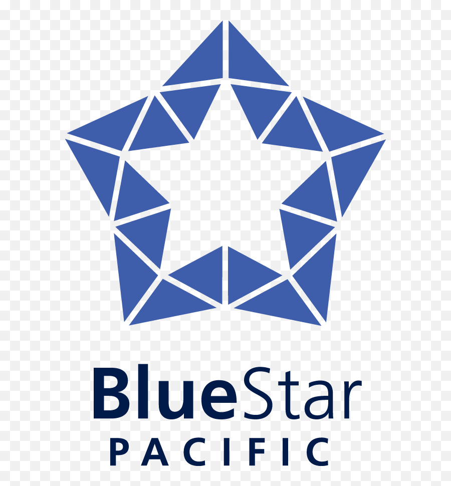Divisions Blue Star - Yldz Logo Png,Blue Star Png