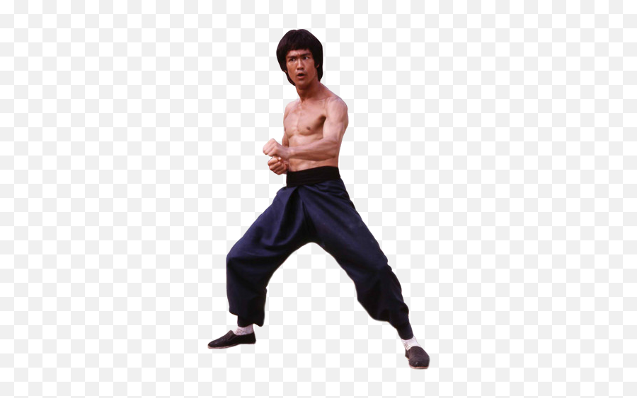Bruce Lee Photo Pack - Bruce Lee Fighting Stance Png,Bruce Lee Logo