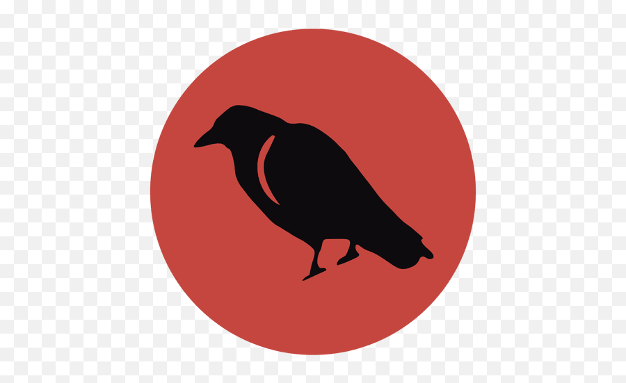 Crow Silhouette - Transparent Png U0026 Svg Vector File Crow Clip Art,Raven Silhouette Png