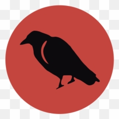 Crow Silhouette - Transparent PNG u0026 SVG vector file Clip Art