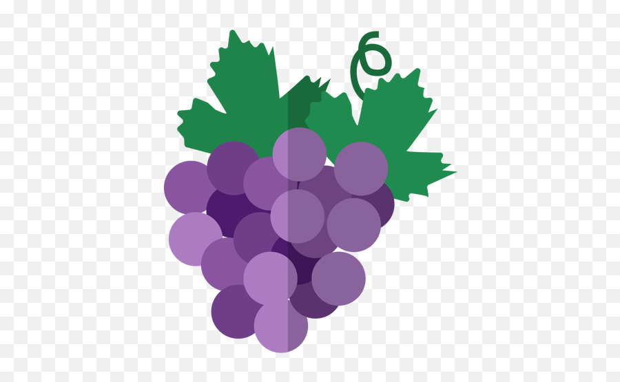 Kwanzaa Grape Bunch Icon - Transparent Png U0026 Svg Vector File Vector Grape Vine Png Transparent Background,Grape Png
