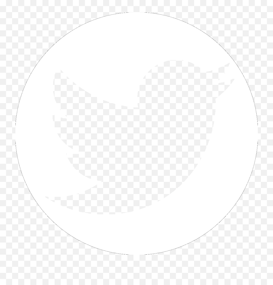 Twitter White Logo Transparent - White Circle Template Create Your Own Mandala Png,Twitter Logo Transparent