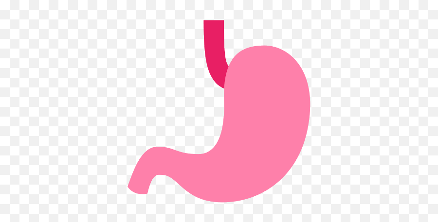 Download Stomach Png - Clip Art,Stomach Png