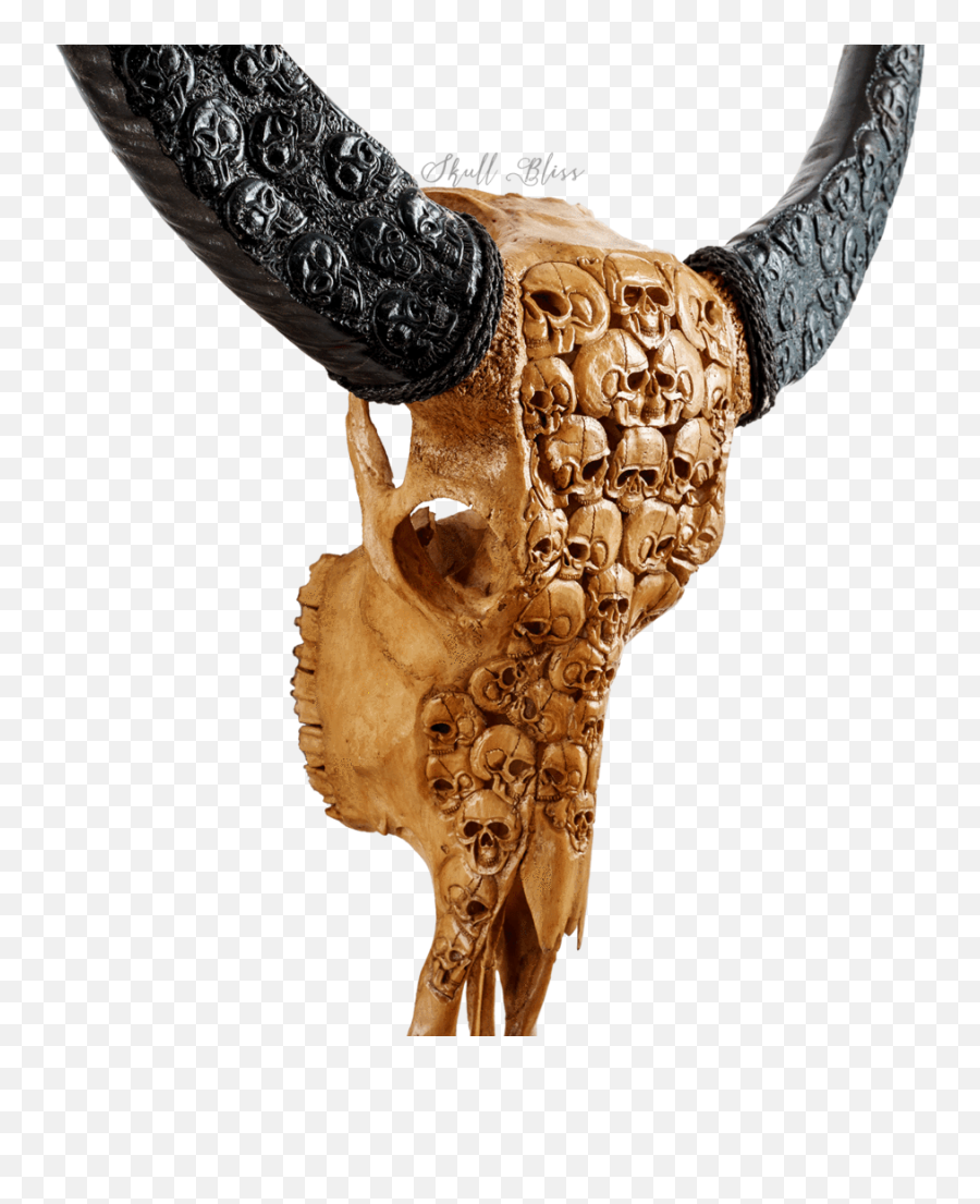Bull Horn Png - Skull,Bull Horns Png