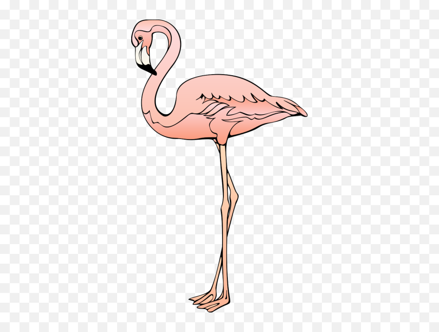 Flamingo Free To Use Cliparts 2 - Flamingo Clip Art Png,Flamingo Clipart Png