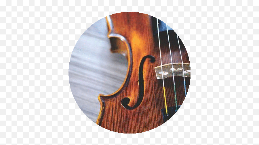 Music Lessons U2014 Musicology - Violin Png,Fiddle Png