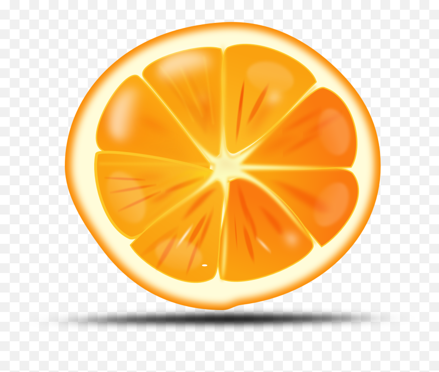 Orange Citrus Sliced Fruit Drawing Free - Slice Orange Clipart Png,Citrus Png