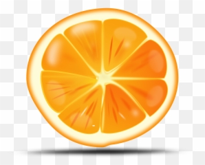 Orange Citrus Sliced Fruit Drawing Free - Slice Orange Clipart Png,Citrus Png